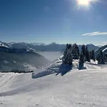 Haus Matt Laterns