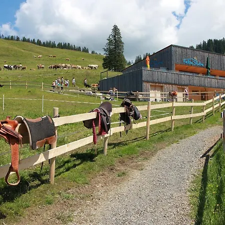Haus Matt Laterns
