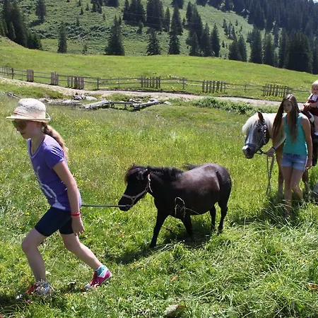 Gasthuis Haus Matt 3*